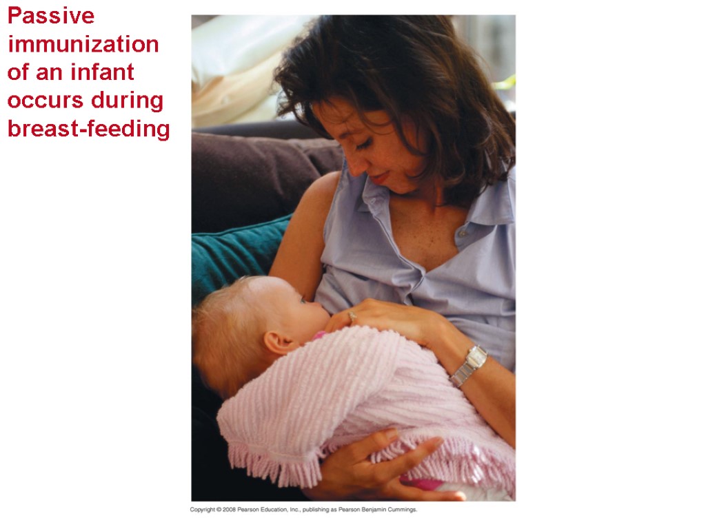 Passive immunization of an infant occurs during breast-feeding
